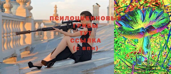 гашик Богородицк