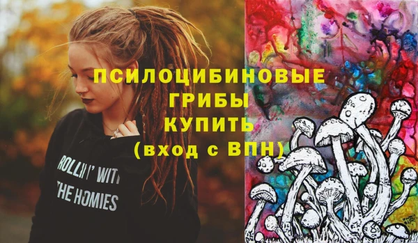 прущие крисы Богданович