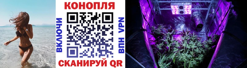 Каннабис ГИДРОПОН  Оха 